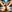 irisweltderkartenundspiritualitaet.com  – Home