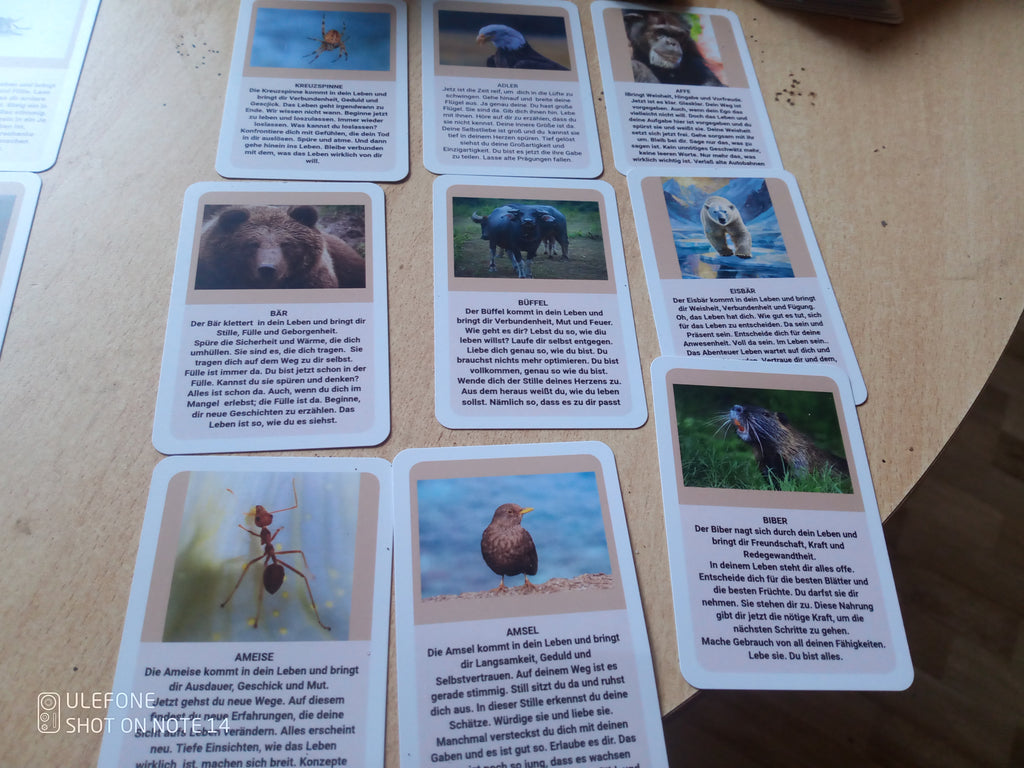 Krafttier Kartendeck 54 Karten A-K, spirituelle Orakelkarten, Hingabe, Verbundenheit, Mut etc. kommen in dein Leben