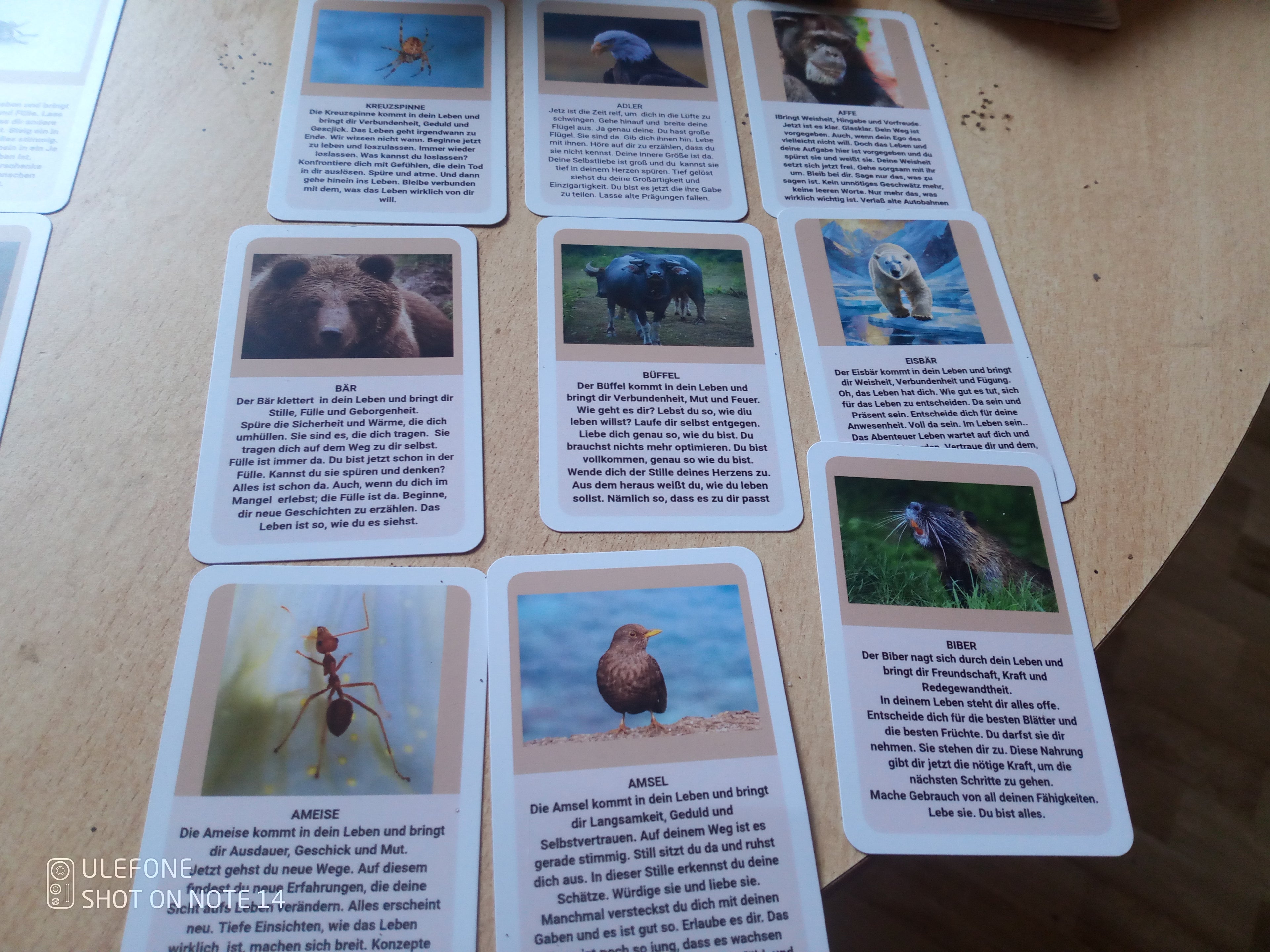 Krafttier Kartendeck 54 Karten A-K, spirituelle Orakelkarten, Hingabe, Verbundenheit, Mut etc. kommen in dein Leben